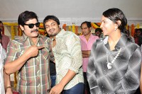 Vasool Raja Movie Opening Photos